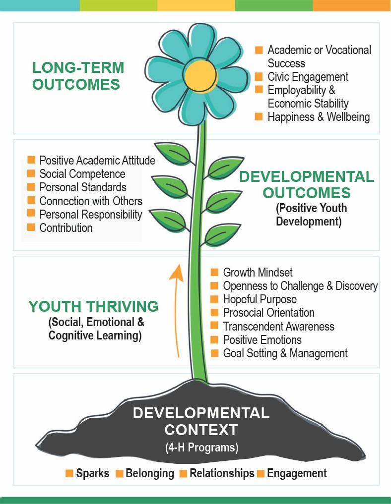 Diagram of the 4‑H Thriving Model shown as a flower growing from a developmental context. The model illustrates how 4‑H program elements (sparks, belonging, relationships, and engagement) support youth thriving through social, emotional, and cognitive learning, leading to developmental outcomes and long‑term outcomes such as academic success, civic engagement, employability, economic stability, happiness, and well‑being.