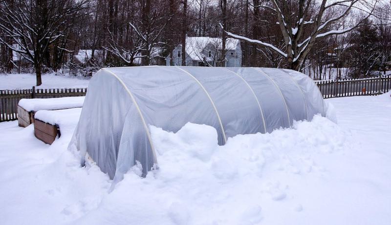 A winter view of a translucent plastic-covered tunnel built over a vegetable bed, surrounded by snow.