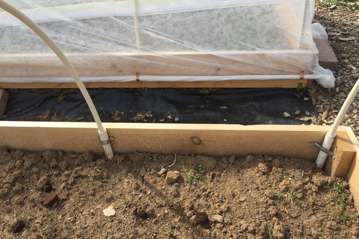 Short pieces of PVC pipe are anchored to a short wooden raised bed frame, with more slender PVC pipe lengths inserted and arched to the anchors on the other side of the bed. The support arches of a raised bed in the background are covered with gauzy white fabric, the long edge of which is rolled around a length of PVC pipe.