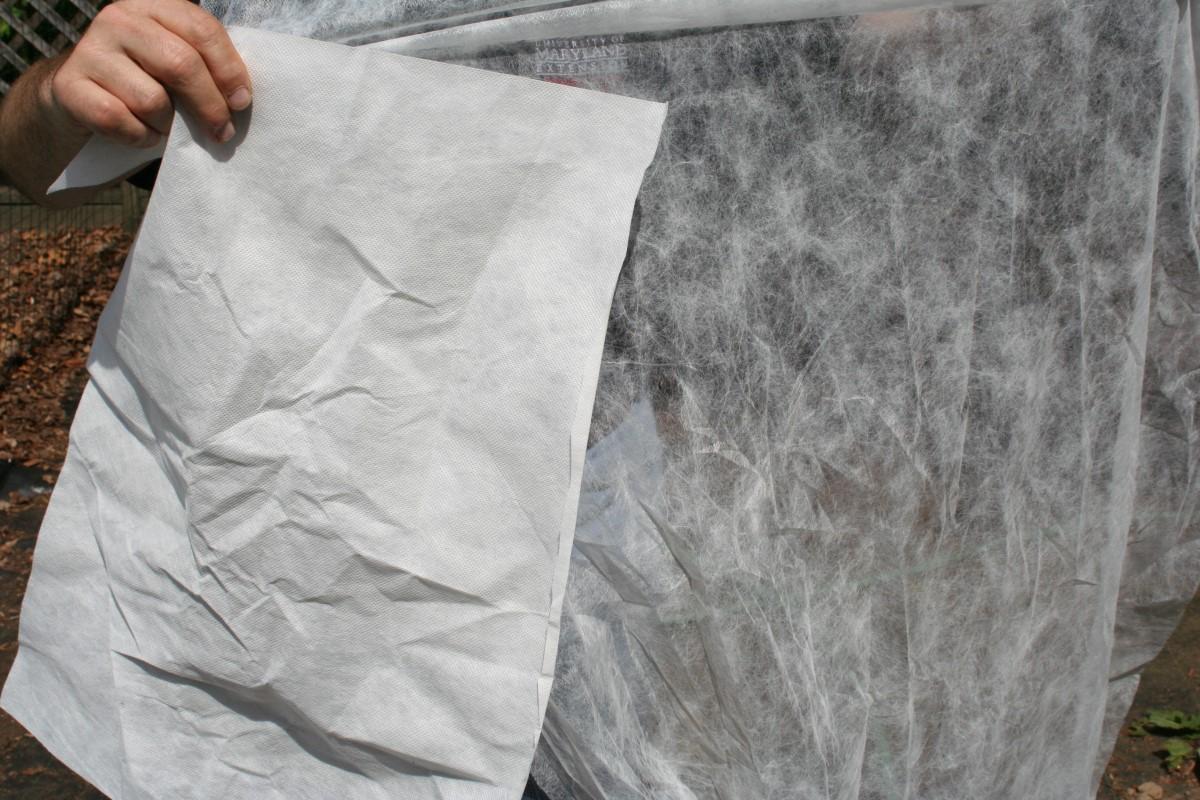 Two samples of row covers. The heavyweight piece on the left provides more insulation but less light transmission than the lightweight piece on the right, which has a gauzy appearance.