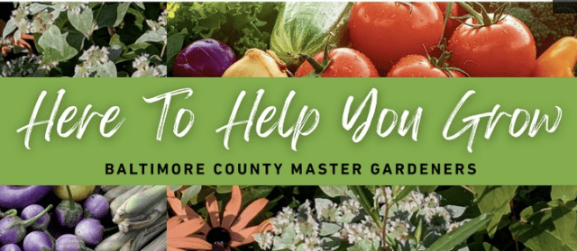 Masthead of "Here to Help You Grow" a publication of the Baltimore County Master Gardeners