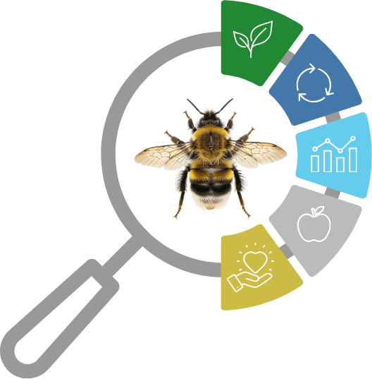 A magnifying glass over a bumble bee with icons along the side of representing different fields of study from environmental science to data science, to youth education.