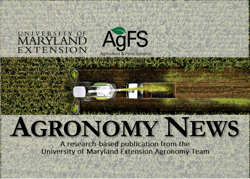 Banner for Agronomy News, a University of Maryland Extension publication. The header features the University of Maryland Extension logo and the AgFS (Agriculture & Food Systems) logo above an aerial photograph of agricultural equipment harvesting a crop field. Large text reads “AGRONOMY NEWS,” followed by the subtitle, “A research-based publication from the University of Maryland Extension Agronomy Team.”