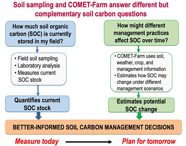 Flowchart comparing soil sampling and COMET-Farm for evaluating soil organic carbon (SOC). Soil sampling measures current SOC stocks, while COMET-Farm estimates future SOC changes under different management scenarios. Both support informed soil carbon management decisions.