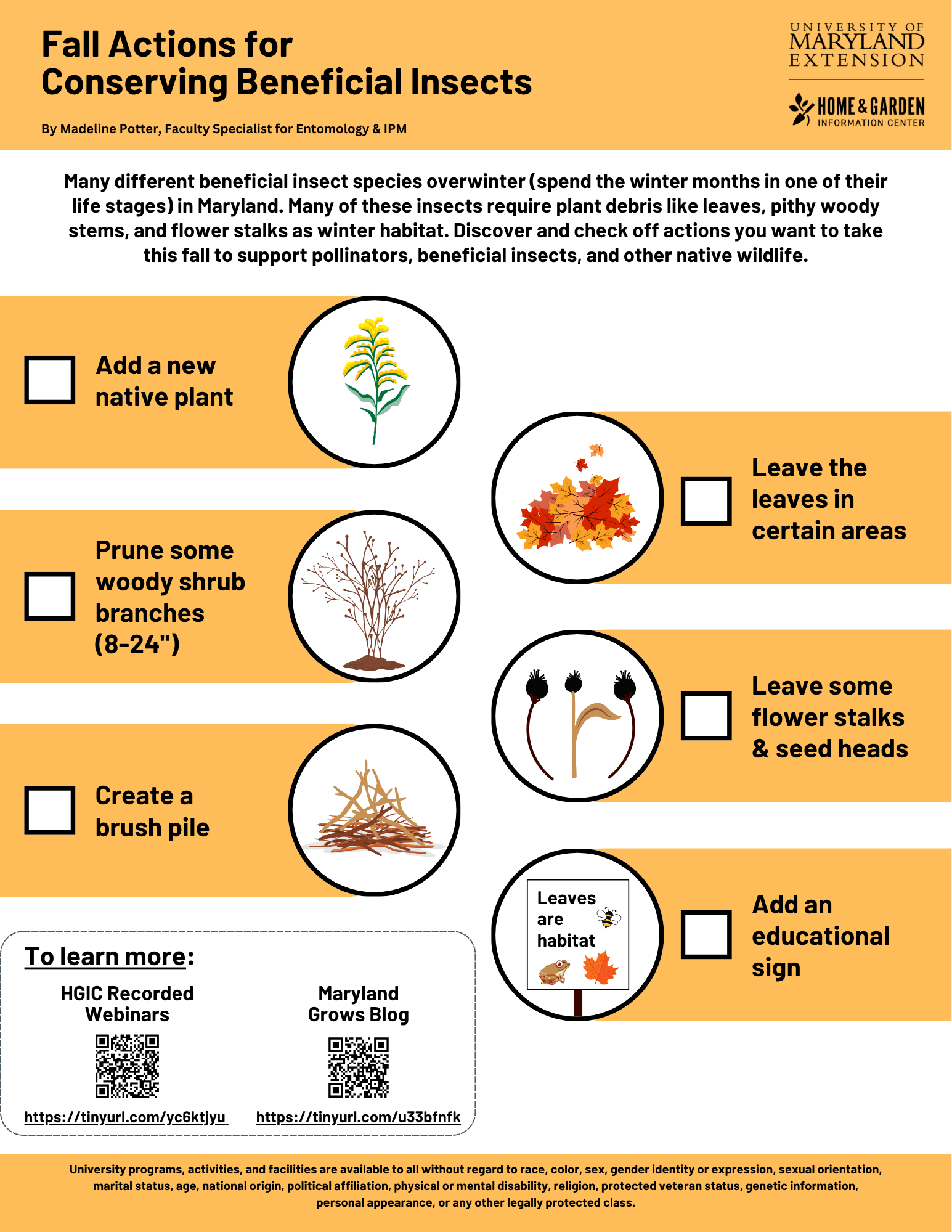 An image of the linked fall actions for conserving beneficial insects handout