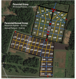 Aerial pasture map showing grazing paddocks for two lamb treatment groups. The perennial-only group occupies a 13-acre pasture in the upper portion of the map and is divided into paddocks labeled 1A-10C. The perennial/annual combination group includes a 4-acre perennial pasture and a 4-acre annual pasture in the lower-left portion of the map, divided into paddocks labeled 11A-17C. Paddock boundaries are marked with yellow lines, and grazing movement is indicated by numbered paddocks and directional arrows.