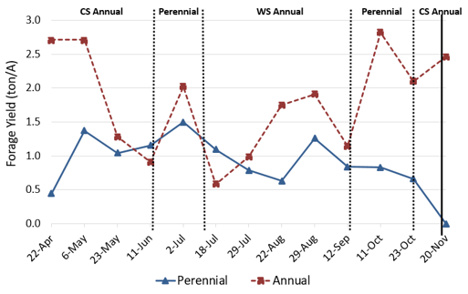 Line graph comparing forage yield (tons/acre) for perennial and annual forages during the 2024 grazing season. Annual forages generally produced higher yields and showed greater variability than perennial forages. Vertical dashed lines indicate transitions among cool-season annual, perennial, warm-season annual, perennial, and cool-season annual grazing phases.