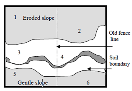 Field map showing six management units separated by differences in soil boundaries, slope position, and an old fence line. Areas include eroded slopes, gentle slopes, and distinct soil zones.