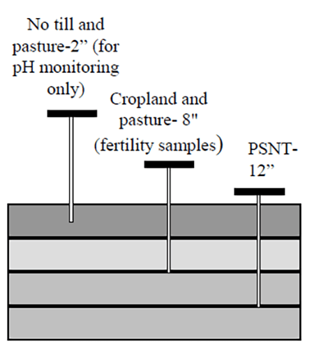Diagram showing recommended soil sampling depths: 2 inches for no-till and pasture pH monitoring, 8 inches for fertility samples, and 12 inches for PSNT samples.
