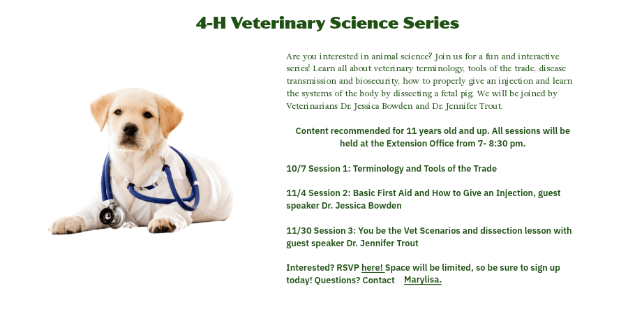 Dog laying with details of Vet Science Series