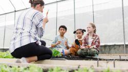 female teacher holding a carrot and kneeling on raised bed gardens while talking to three young students also holding carrots
