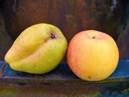 a green pear and a yellow-red apple
